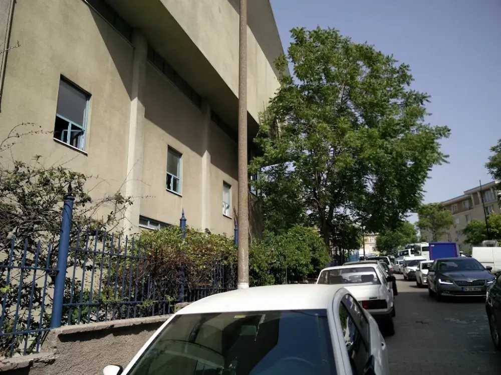 AREL Spor Okulu — Yüzme Havuzları, Bahçelievler · fotoğraf 4