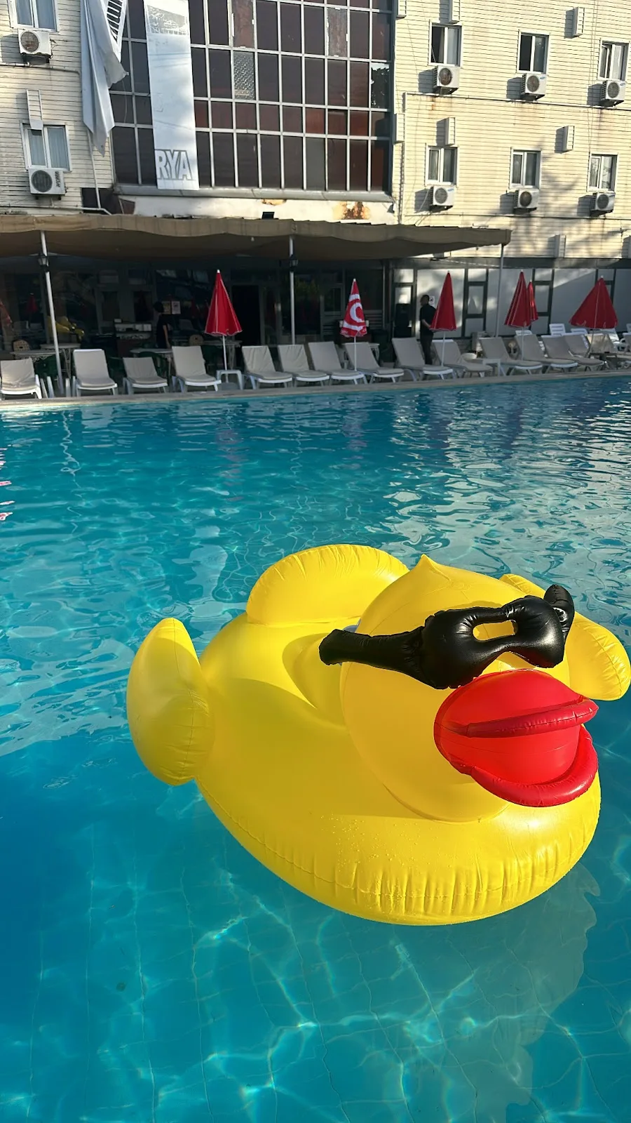 Florya Park Havuz — Yüzme Havuzları, Bakırköy · fotoğraf 1