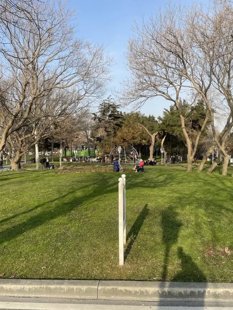 İBB Florya Spor Tesisleri — Yüzme Havuzları, Bakırköy · fotoğraf 4