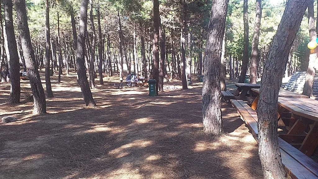 Beykoz Spor Ormanı — Yüzme Havuzları, Beykoz · fotoğraf 1