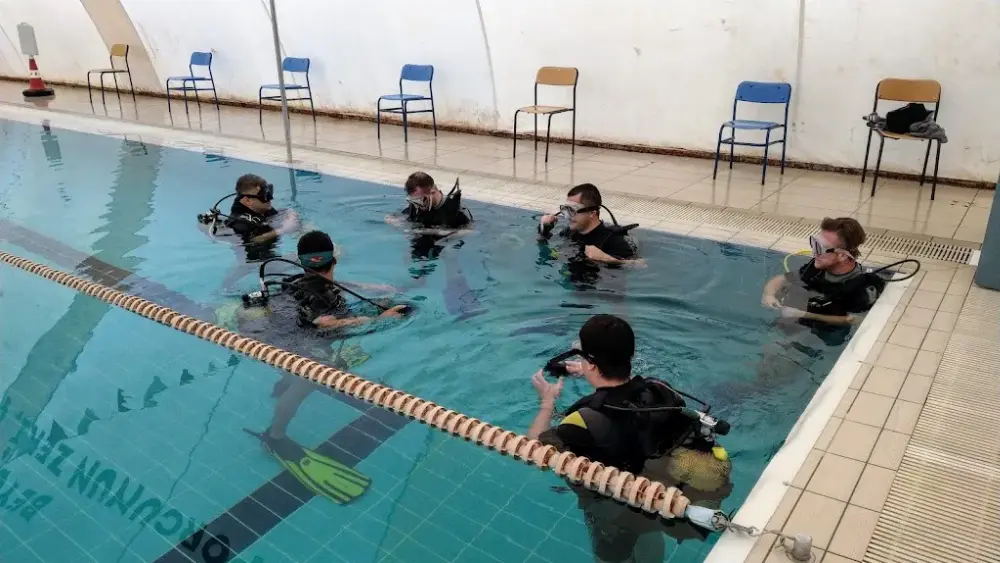 Beylikdüzü Yüzme Kulübü — Yüzme Havuzları, Beylikdüzü · fotoğraf 2