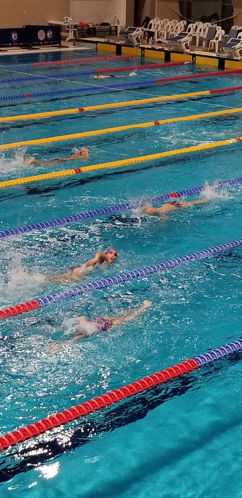 Boğaziçi Yüzme ve Cimnastik Spor kulubü