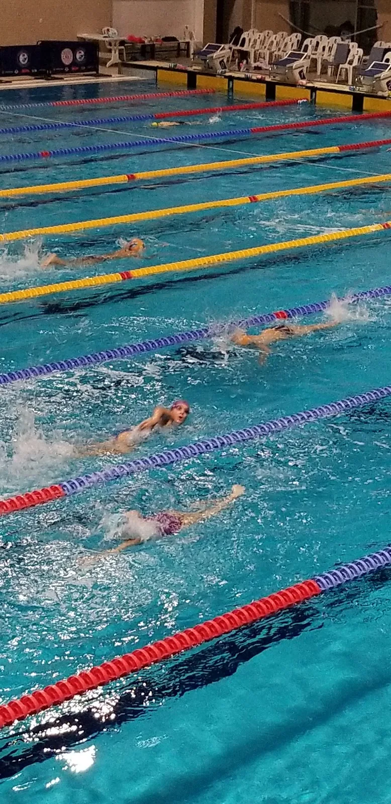 Boğaziçi Yüzme ve Cimnastik Spor kulubü — Yüzme Havuzları, Beylikdüzü · fotoğraf 1