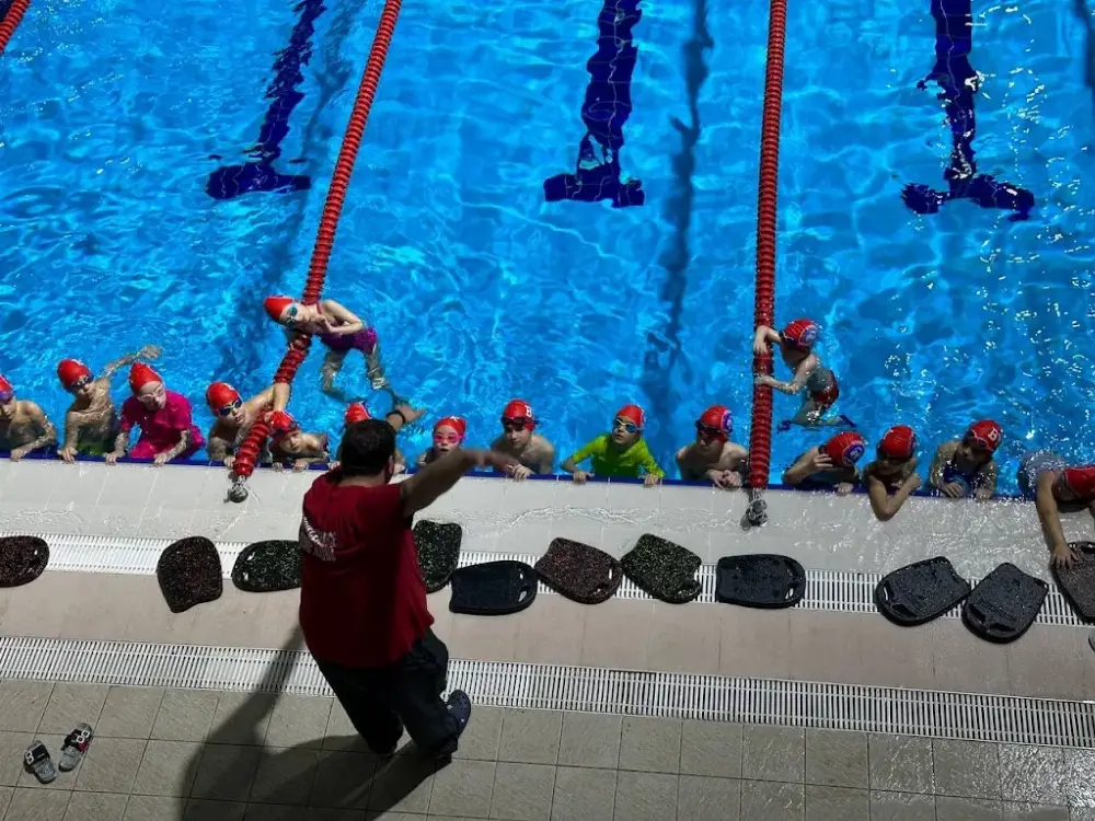 Büyükçekmece Yüzme Spor Kulübü — Yüzme Havuzları, Beylikdüzü · fotoğraf 3
