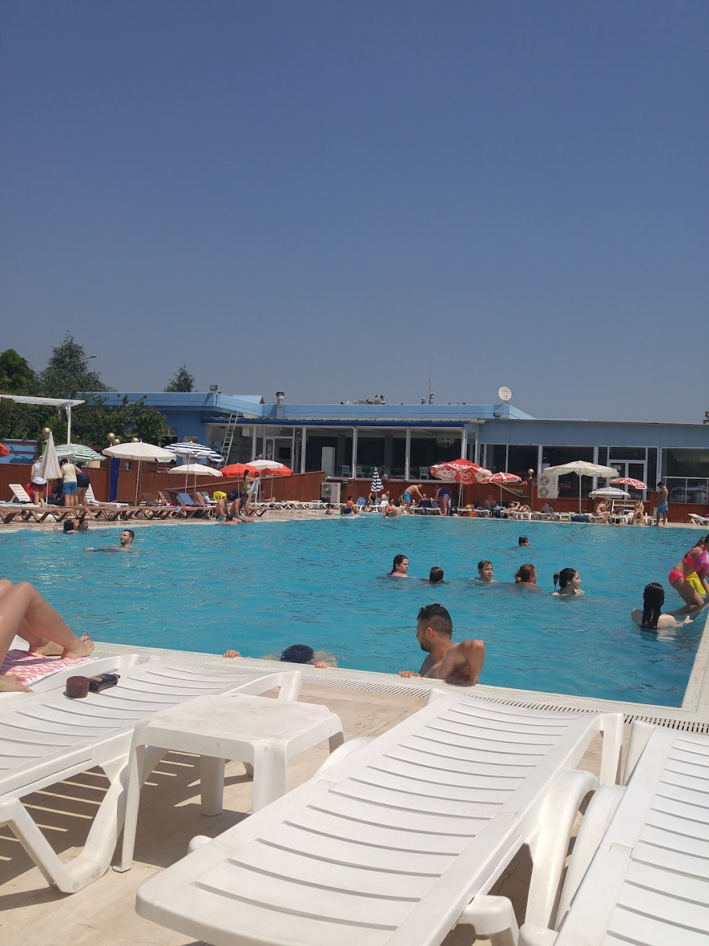 Yüzme Havuzu