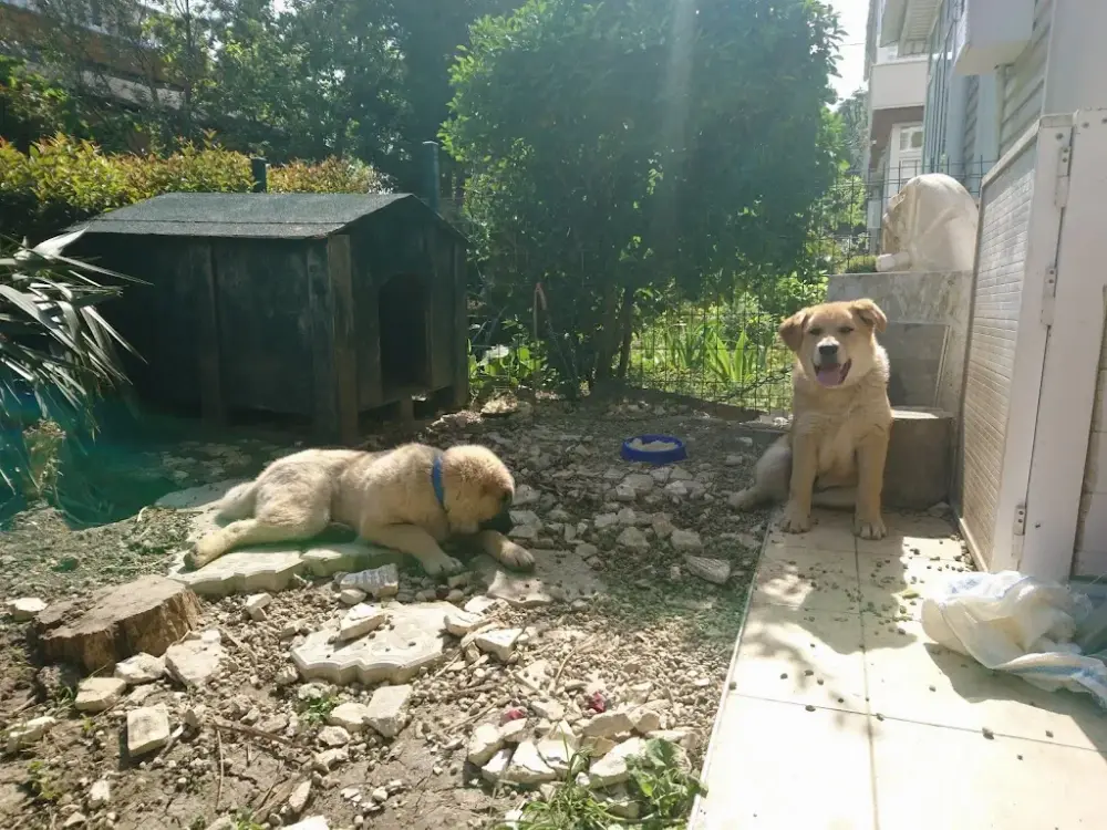 Titanya Yüzme Havuzu & Events — Yüzme Havuzları, Büyükçekmece · fotoğraf 4