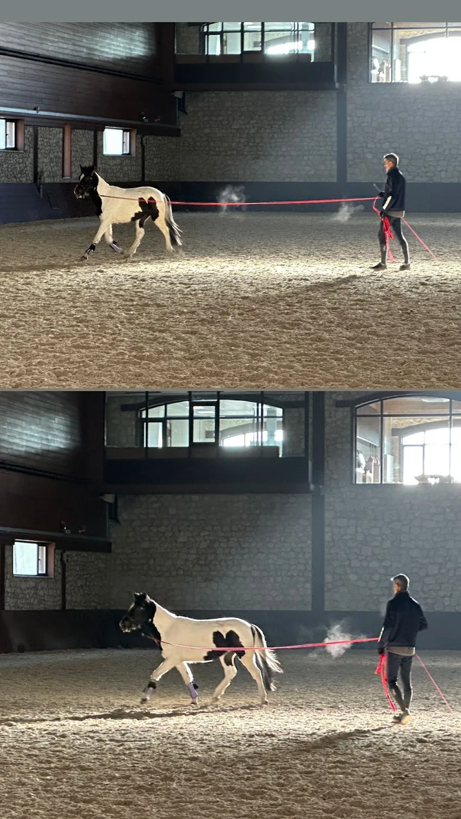 Lider Club — Yüzme Havuzları, Çatalca · fotoğraf 1