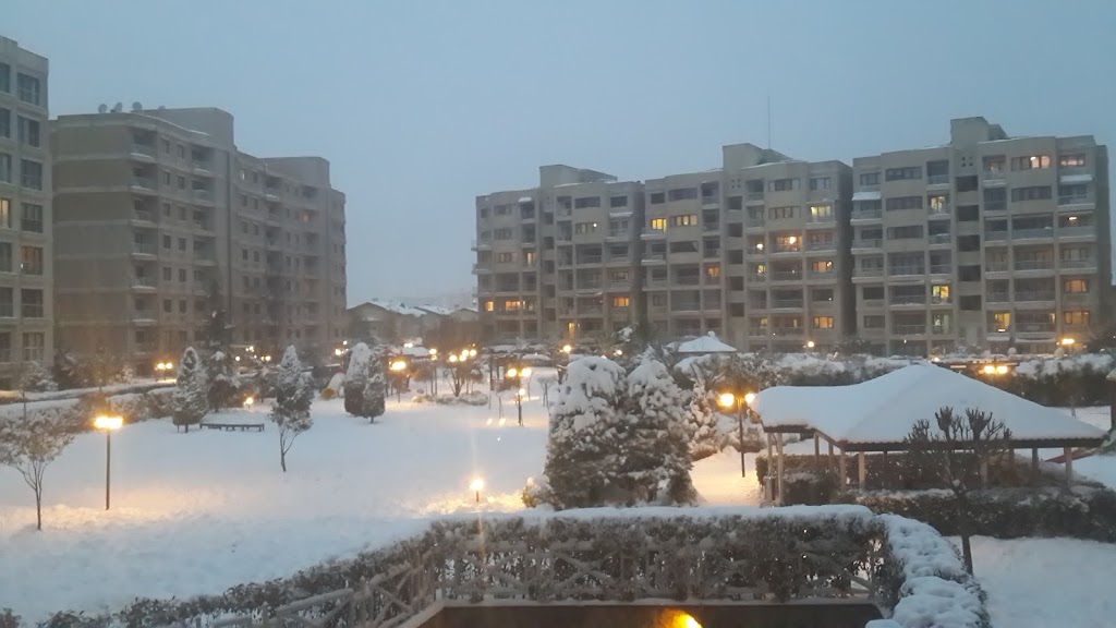 İdealistkent Havuz