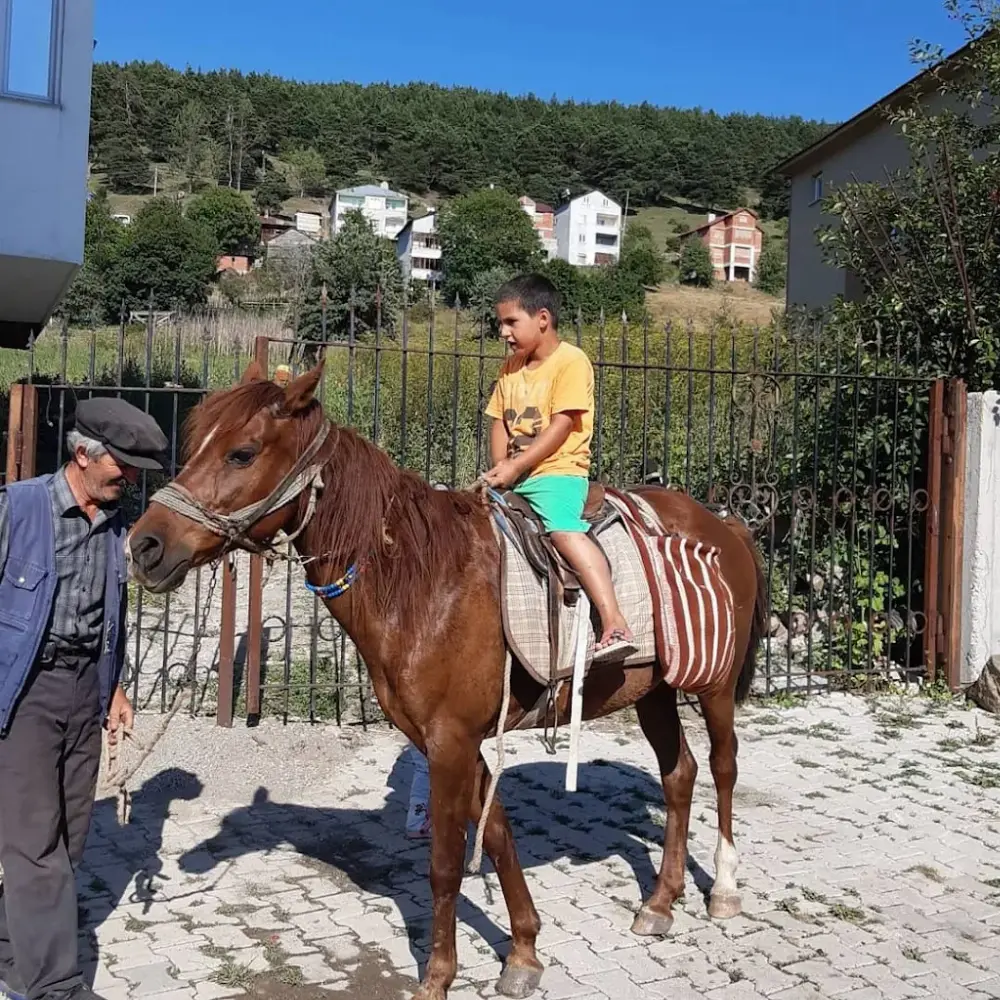 Akademi Ümraniye Parseller Yüzme Havuzu — Yüzme Havuzları, Ümraniye · fotoğraf 3
