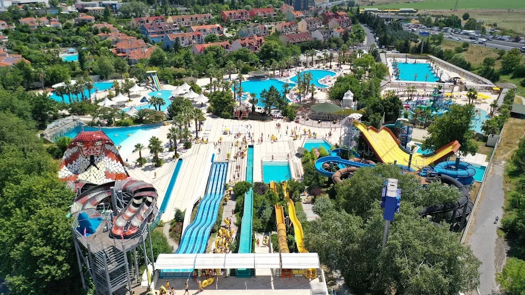 Aqua Club Dolphin