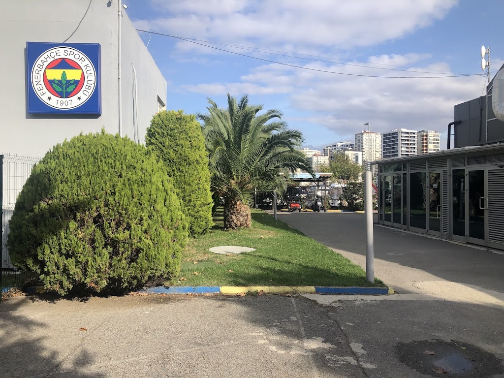 Fenerbahçe Spor Kulübü Vefa Küçük Yuzme Havuzu