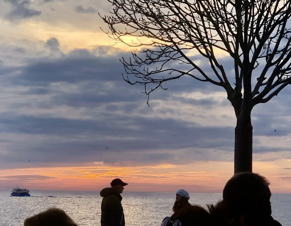 nazlı yüzme havuzu — Yüzme Havuzları, Kadıköy · fotoğraf 1
