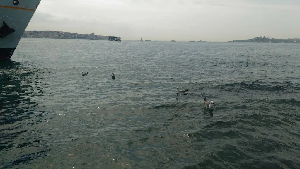 Mae Reklam Ajansı — Reklam Ajansları, Beşiktaş · fotoğraf 1