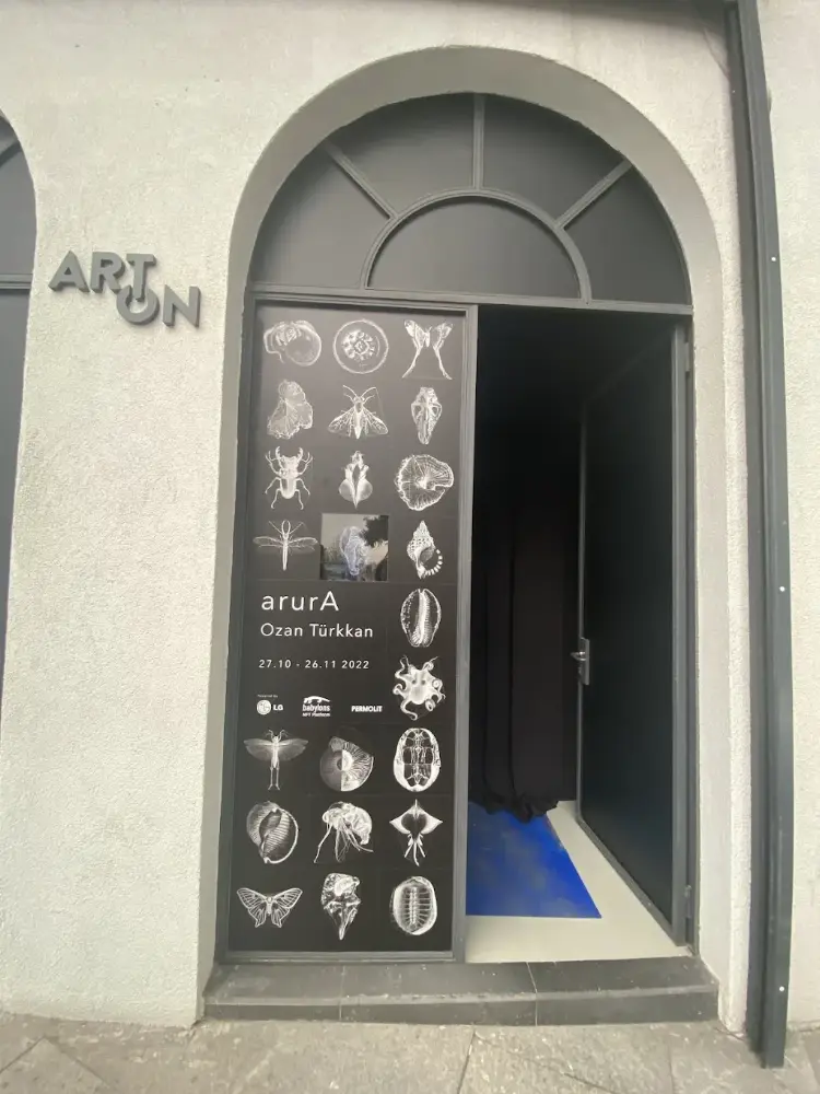Art On Istanbul — Sergiler, Beyoğlu · fotoğraf 4