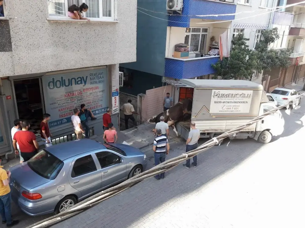 DOLUNAY REKLAM — Reklam Ajansları, Bağcılar · fotoğraf 2