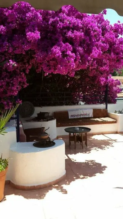Dalyan Do Apart Restoran — Akdeniz mutfağı, Ortaca · fotoğraf 2