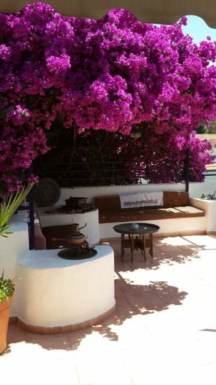 Dalyan Do Apart Restoran