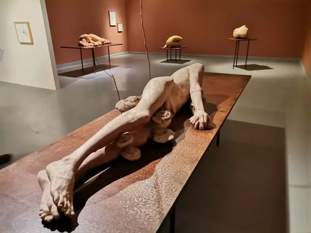 Zilberman Gallery — Sergiler, Beyoğlu · fotoğraf 2