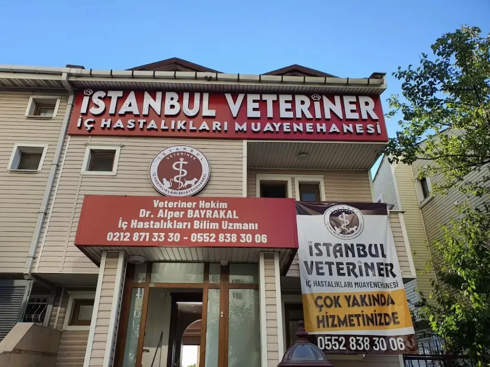 As Özer Reklam — Reklam Ajansları, Avcılar · fotoğraf 4