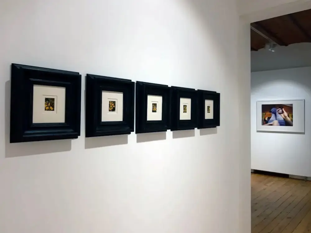 Labirent Sanat — Sergiler, Beyoğlu · fotoğraf 3