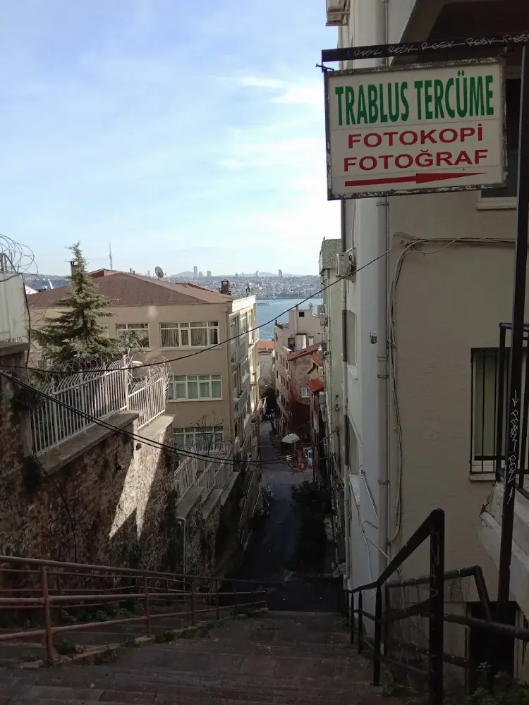 Contemporary Istanbul — Sergiler, Beyoğlu · fotoğraf 2