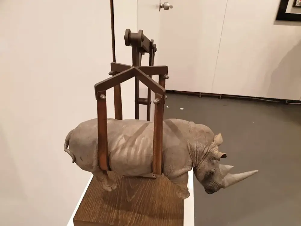 Contemporary Istanbul — Sergiler, Beyoğlu · fotoğraf 3