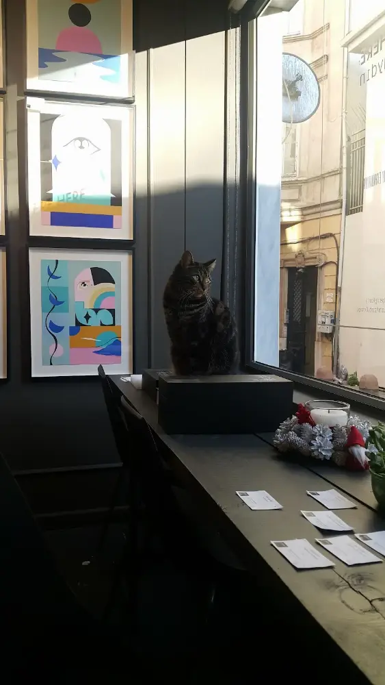 Istanbul Concept Gallery — Sergiler, Beyoğlu · fotoğraf 4