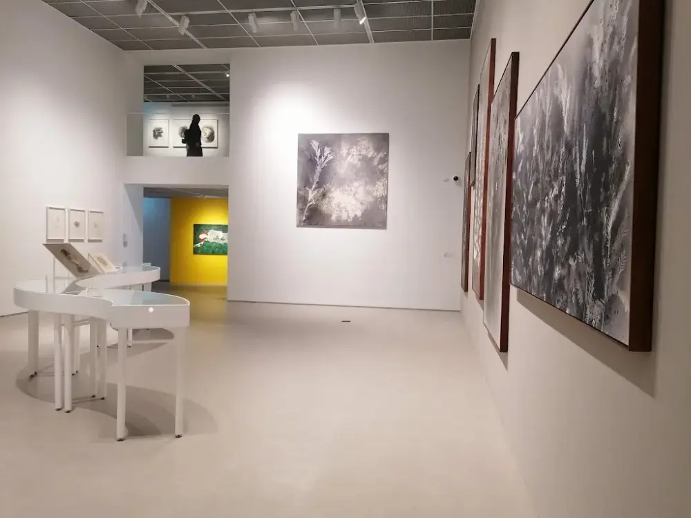 Yapı Kredi Kazım Taşkent Sanat Galerisi — Sergiler, Beyoğlu · fotoğraf 3