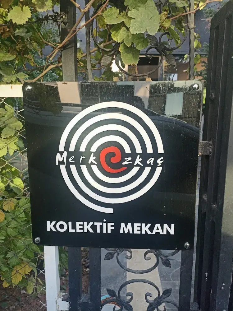 Merkezkaç Kolektif Mekan — Sergiler, Kayapınar · fotoğraf 4