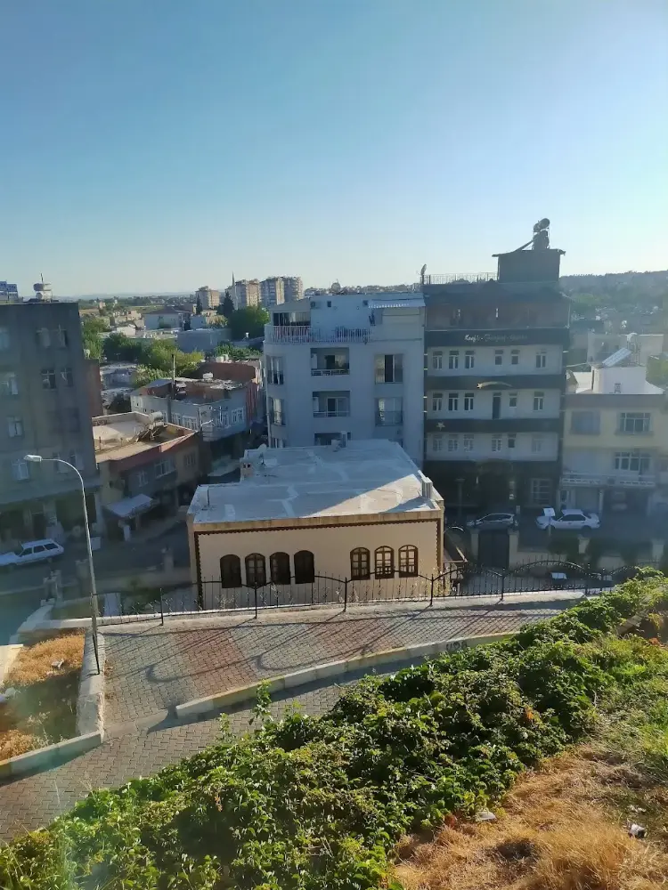 Keleş Konaĝı — Sergiler, Merkez · fotoğraf 4