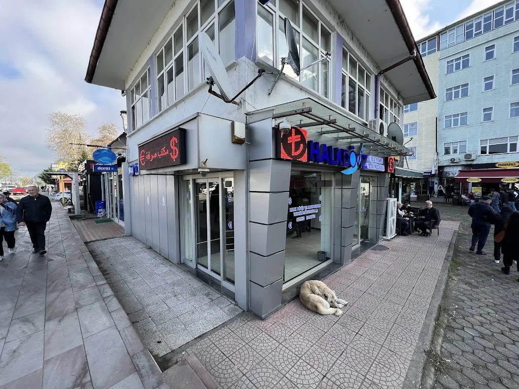 Halk Döviz ve Altın Sınırlı Yetkili Müessese A.Ş. — Döviz Büroları · fotoğraf 1