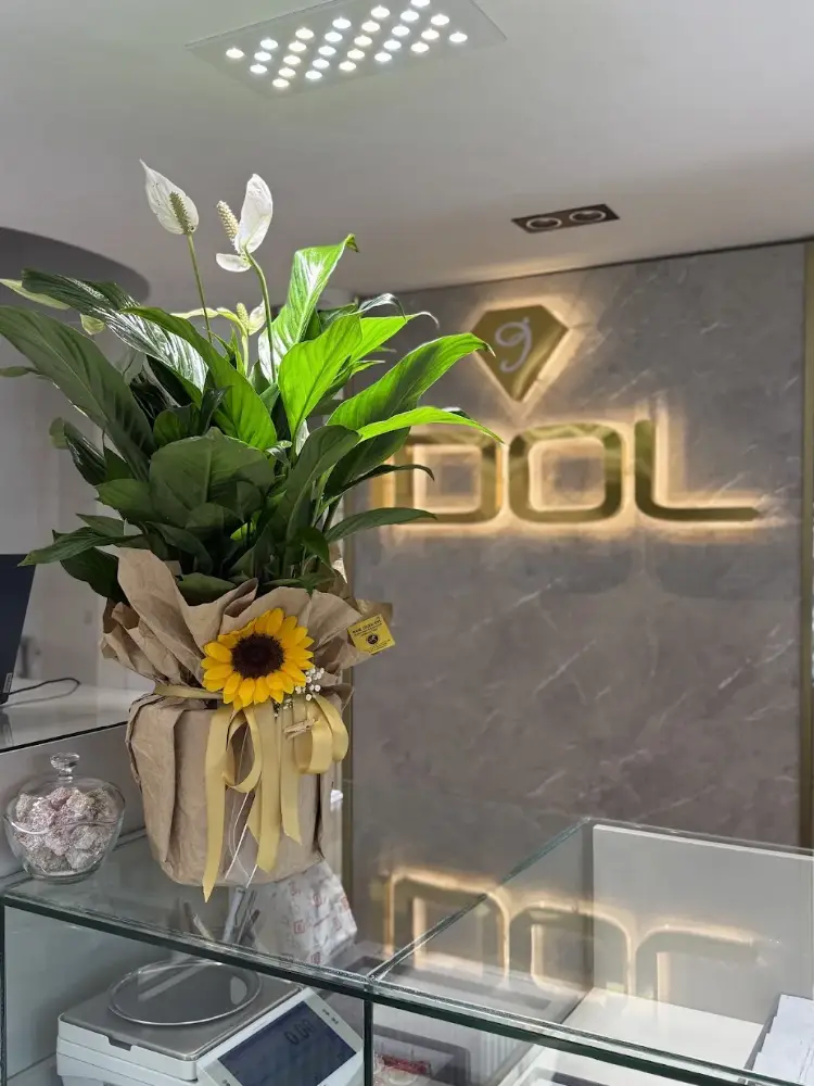 iDOL Nilüfer Kuyumculuk — Döviz Büroları · fotoğraf 2