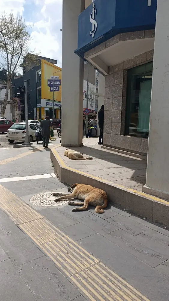 Türkiye İş Bankası Adıyaman Şubesi — Bankalar · fotoğraf 4