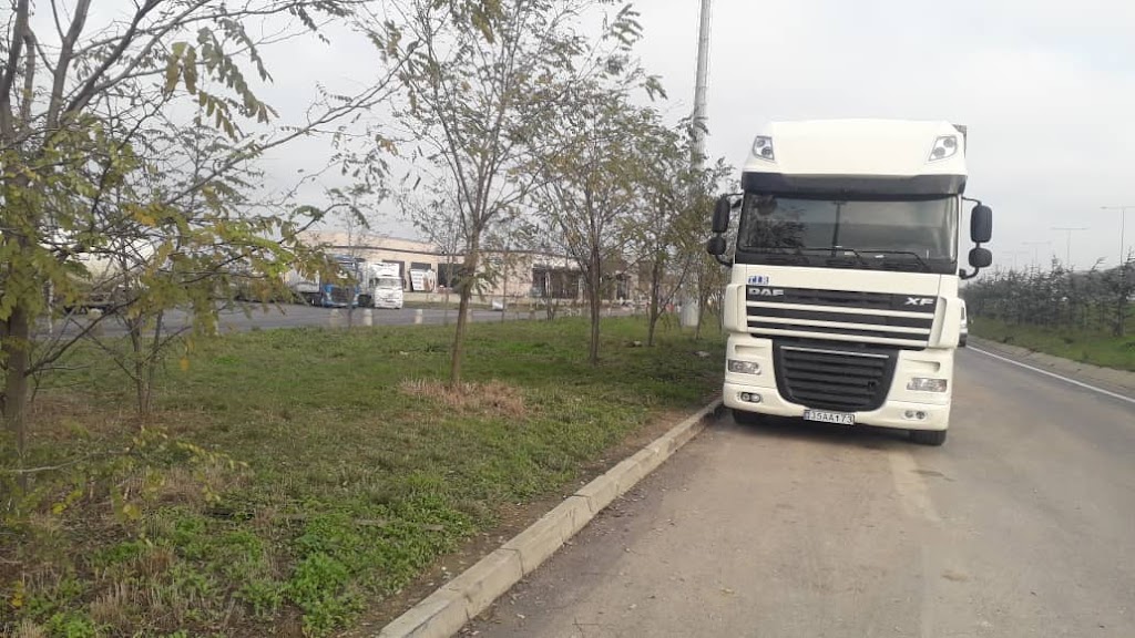 Randıman Döviz