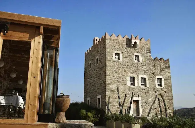 Adasofra Bodrum — Akdeniz mutfağı, Bodrum · fotoğraf 2