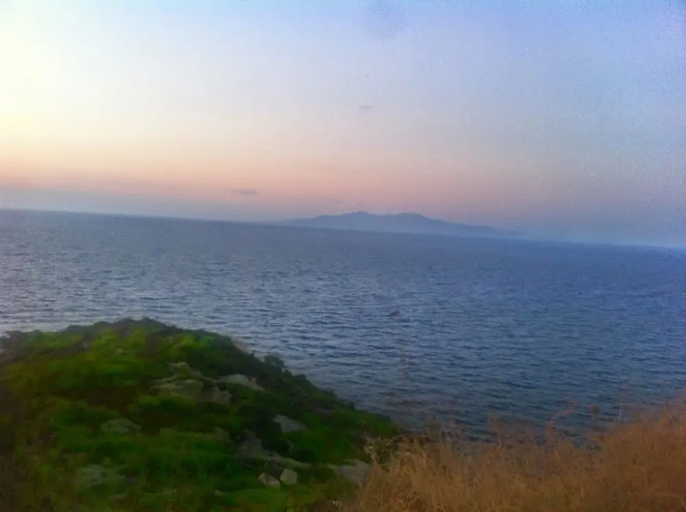 VakıfBank Foça Şubesi — Bankalar, Foça · fotoğraf 4