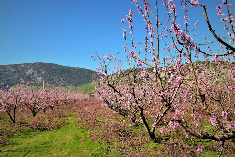 VakıfBank Selçuk Şubesi — Bankalar, Selçuk · fotoğraf 2