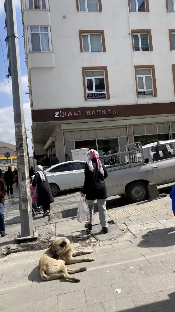 Ziraat Bankası Arnavutköy/İstanbul Şubesi — Bankalar, Arnavutköy · fotoğraf 4