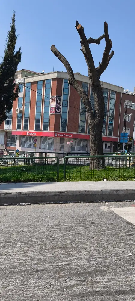 Ziraat Bankası Çarşı-Güneşli/İstanbul Şubesi — Bankalar, Bağcılar · fotoğraf 2