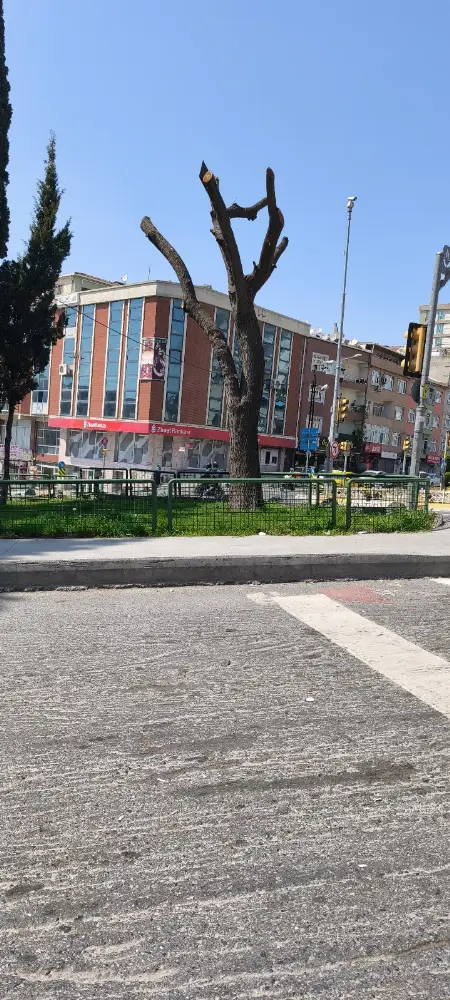 Ziraat Bankası Çarşı-Güneşli/İstanbul Şubesi — Bankalar, Bağcılar · fotoğraf 4