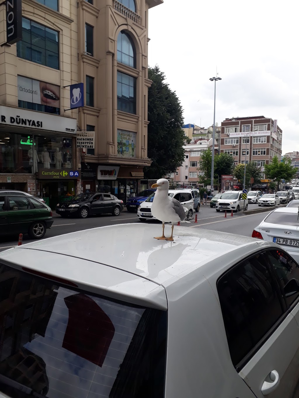 Ziraat Bankası Vatancaddesi/İstanbul Şubesi