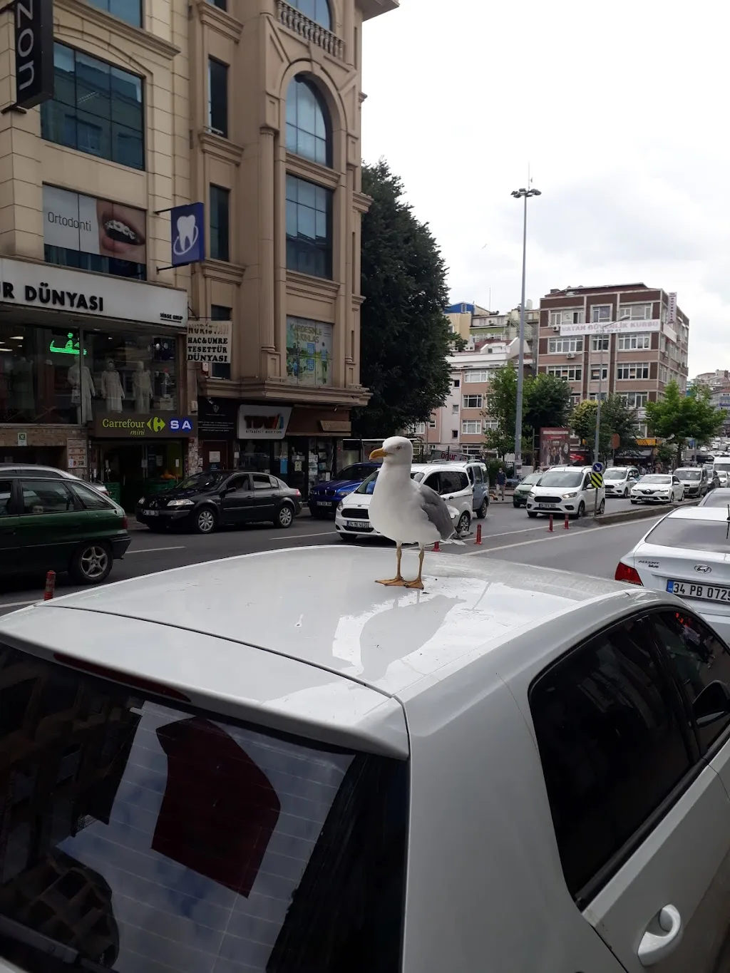 Ziraat Bankası Vatancaddesi/İstanbul Şubesi — Bankalar, Fatih · fotoğraf 1