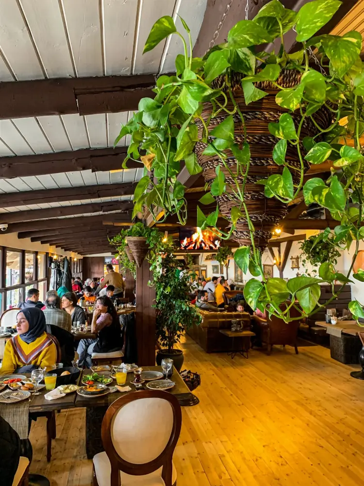 O Ağacın Altı Restoran ve Cafe Üsküdar — Akdeniz mutfağı, Üsküdar · fotoğraf 2