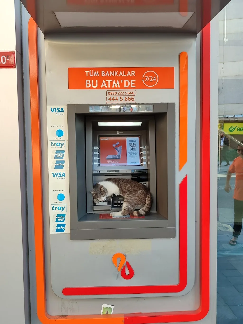 Albaraka Türk Kartal Şubesi — Bankalar, Kartal · fotoğraf 1