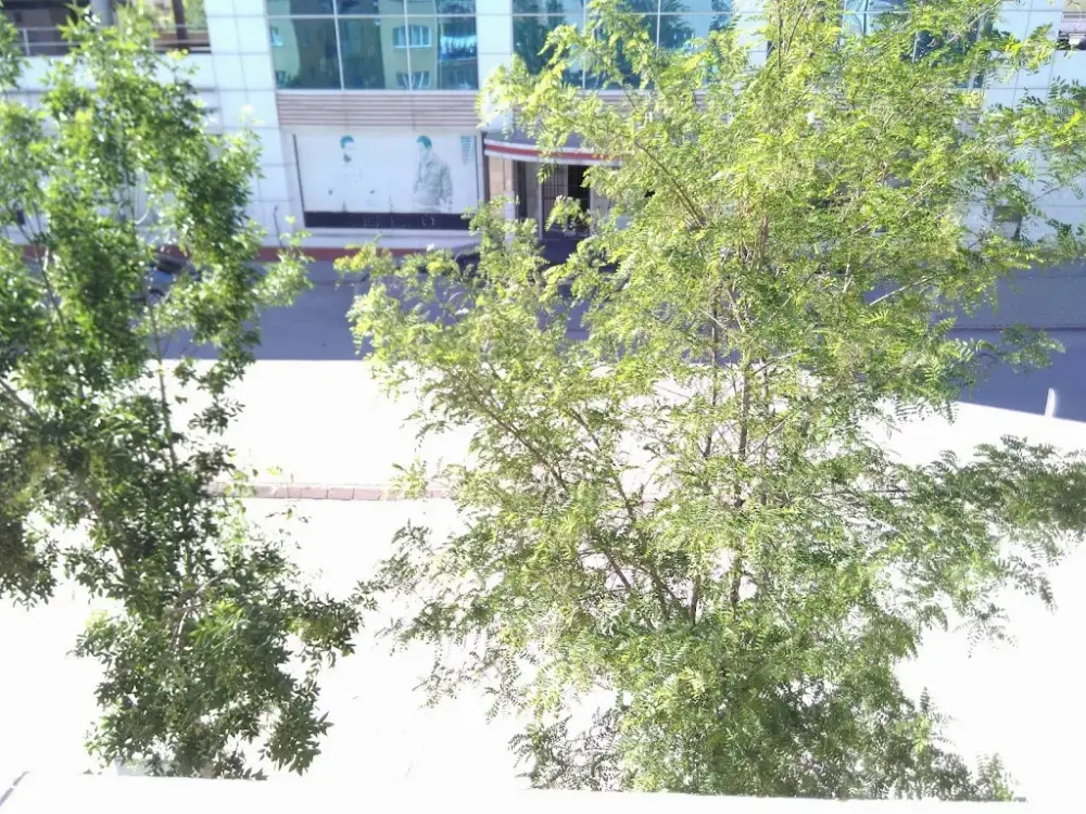 Lc Waikiki — Kadın Giyim, Merkez · fotoğraf 2