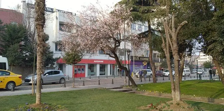 Akbank Silivri Şubesi — Bankalar, Silivri · fotoğraf 3