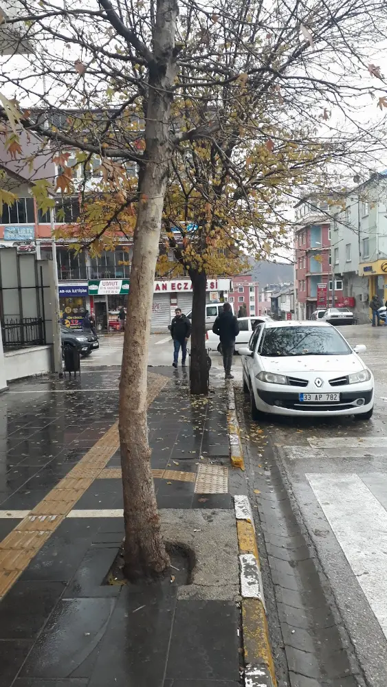 Ziraat Bankası Tunceli Şubesi — Bankalar, Merkez · fotoğraf 4