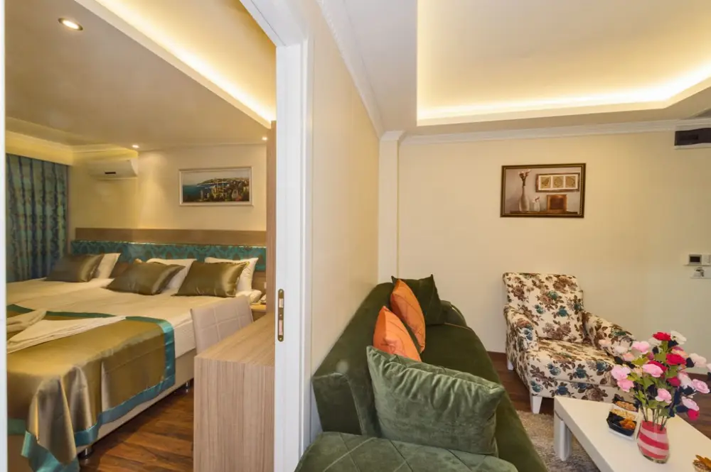 Le Premier House — Oteller, Kağıthane · fotoğraf 2