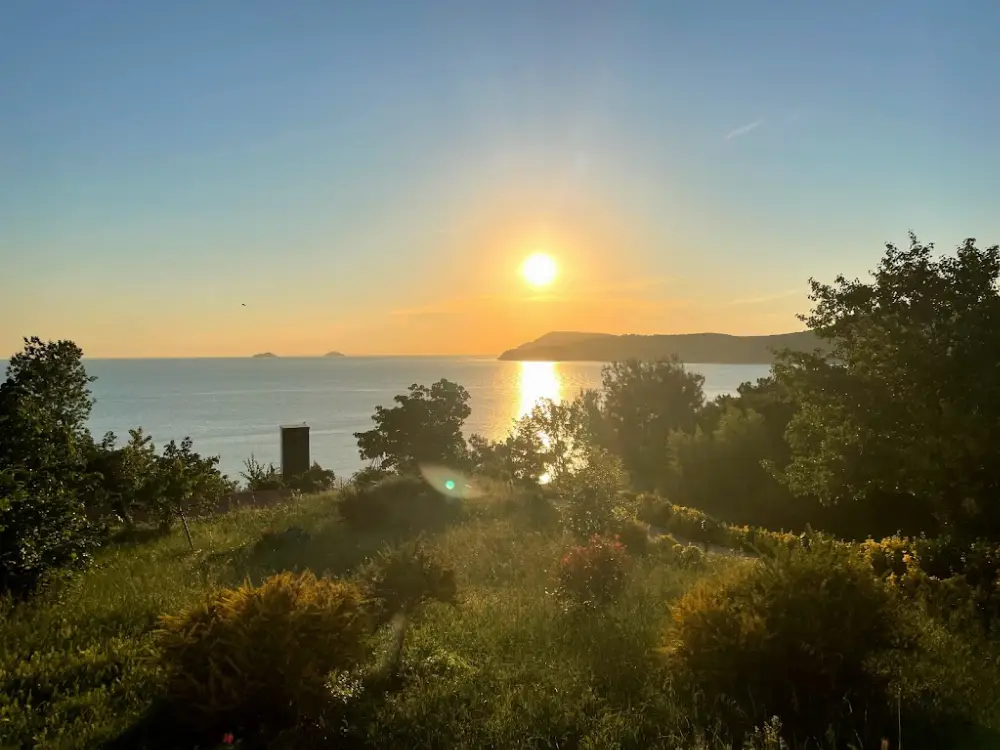 Prenses Koyu Otel — Oteller, Türkoğlu · fotoğraf 4