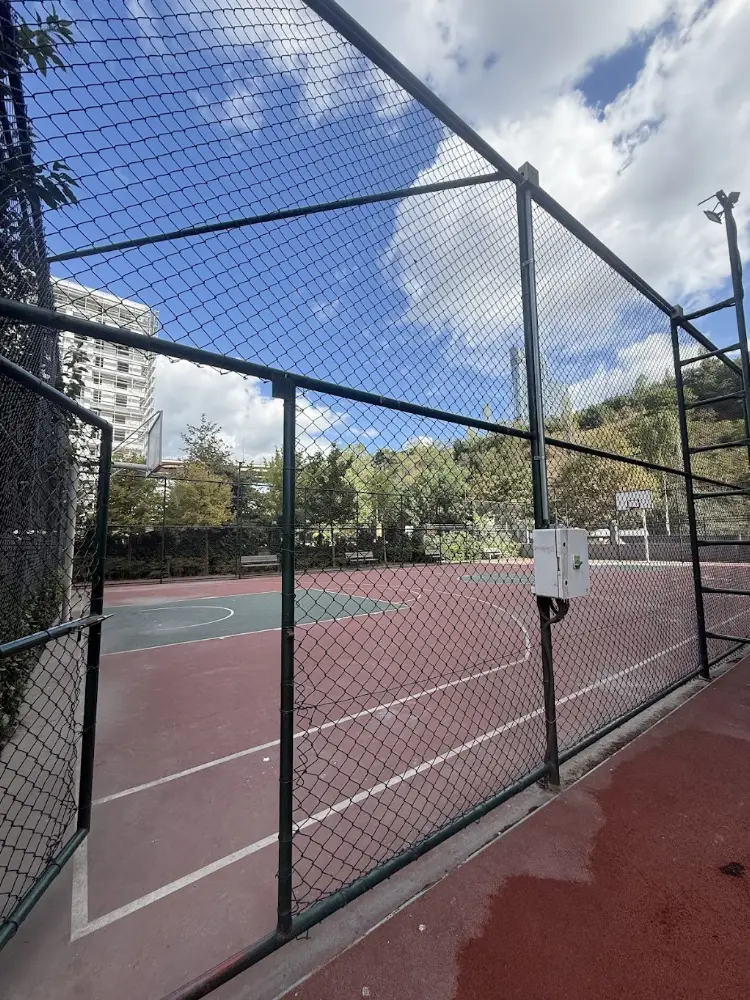 fizyoterapi Servis — Fizyoterapistler, Kağıthane · fotoğraf 3